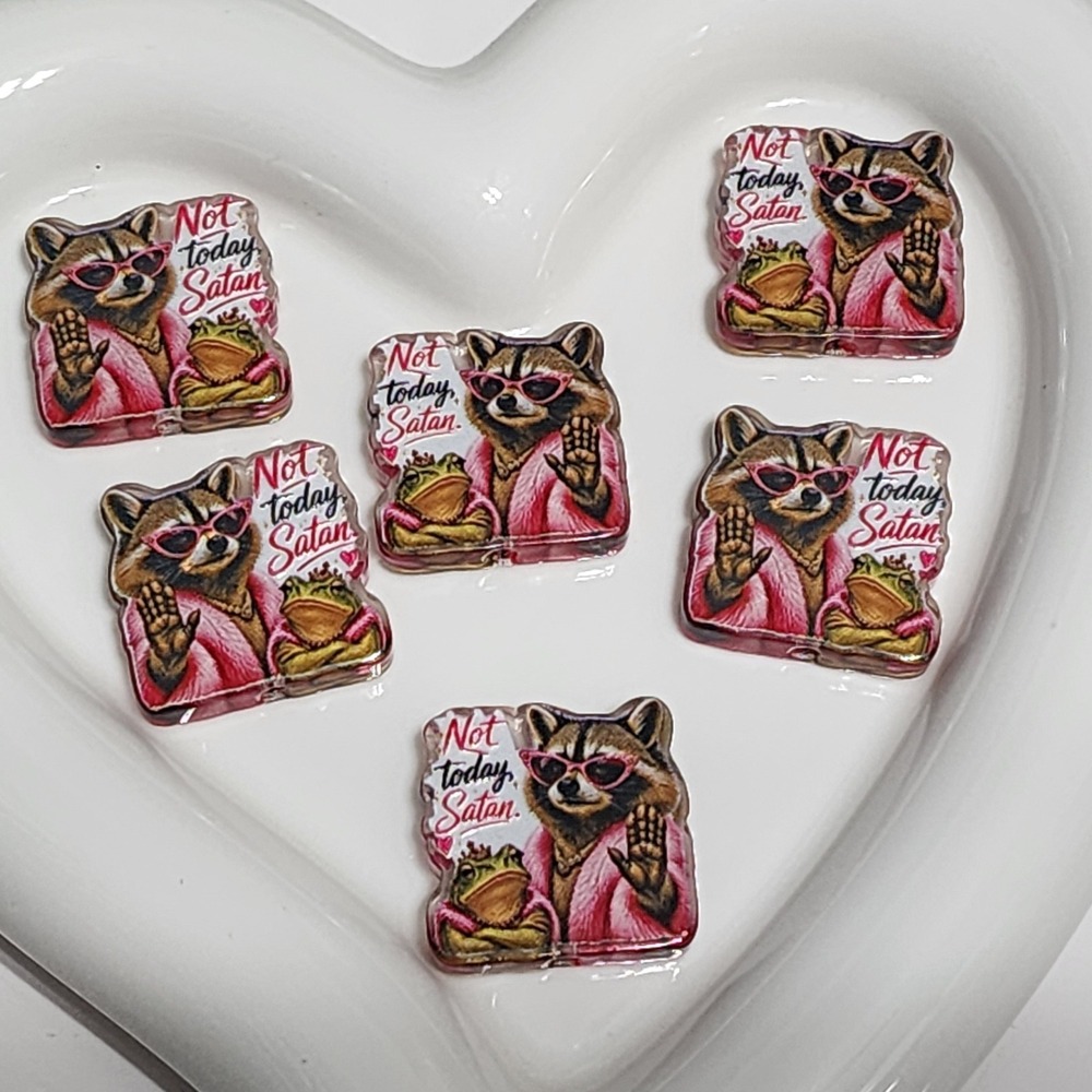 Raccoon Not Today Satan Beads 2 Pcs Focal Bead Beaded Pen Craft Charm Jewelry